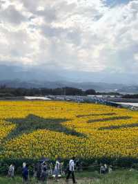 【山梨　おすすめ穴場観光スポット】