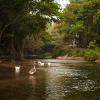 แนะนำ 9 พิกัดที่เที่ยว ที่พัก ที่กิน คาเฟ่ สวนผึ้ง