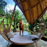 คาเฟ่ลับในป่าลึก พร้อมที่พัก : T Story - แม่กำปอง