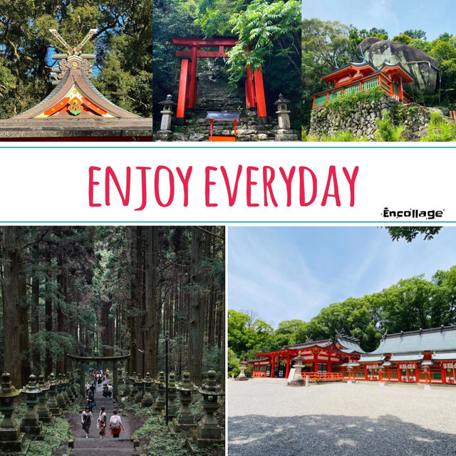大歲神社📝清幽靜謐⛩️🌲