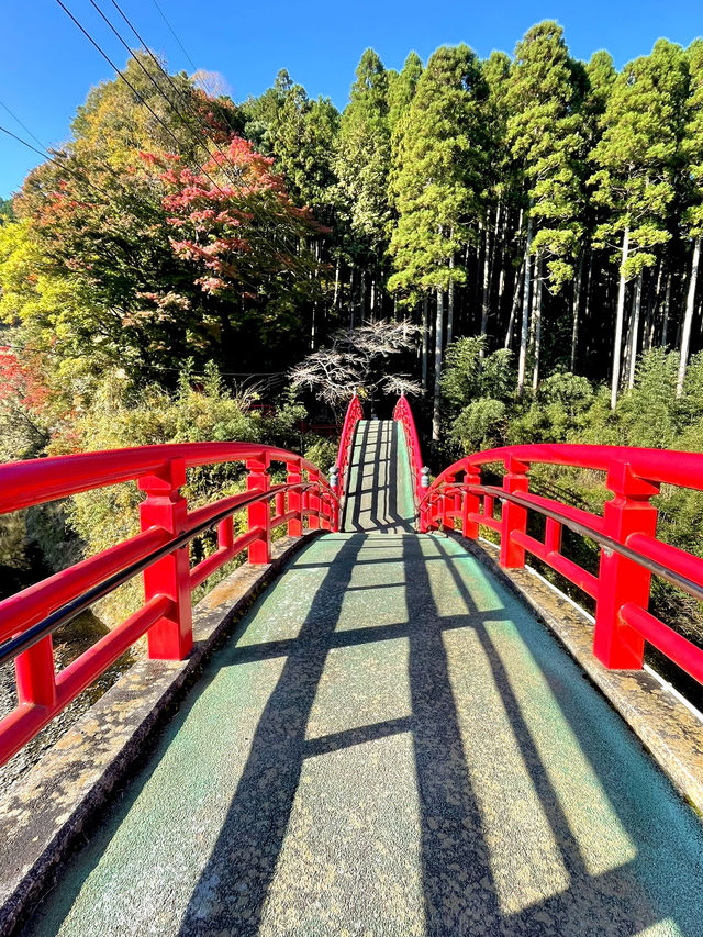 【千葉×紅葉🍁】水面に映し出される紅葉と湾曲した赤い橋