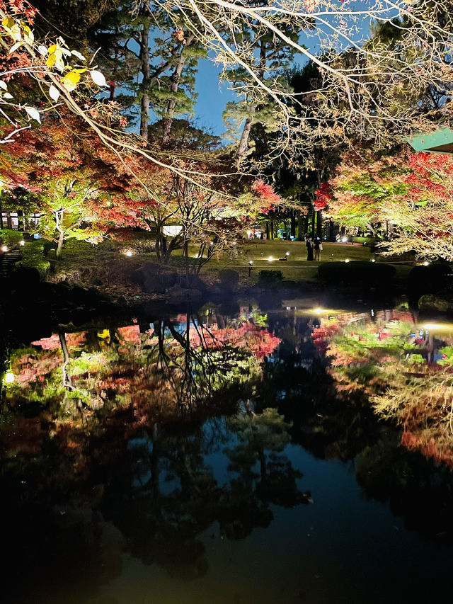 【東京の紅葉スポット🍁】池の水面に映り込む逆さ紅葉の絶景