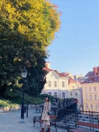 Royal Grandeur: Exploring Poznań's Historic Castle