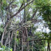 History and Serenity: Exploring Fort Canning Park and Its Hidden Gems 