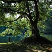 River Tales ริเวอร์เทลส์แก่งกระจาน