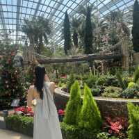 Connecting with nature in Flower dome Singapore 