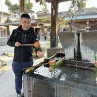 迎春接福福岡行～福岡免費景點攻略