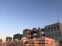 도쿄 야경을 볼 수 있는 곳🌃