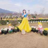 autumn flower festival in hwangsan Park, yangsan South Korea.