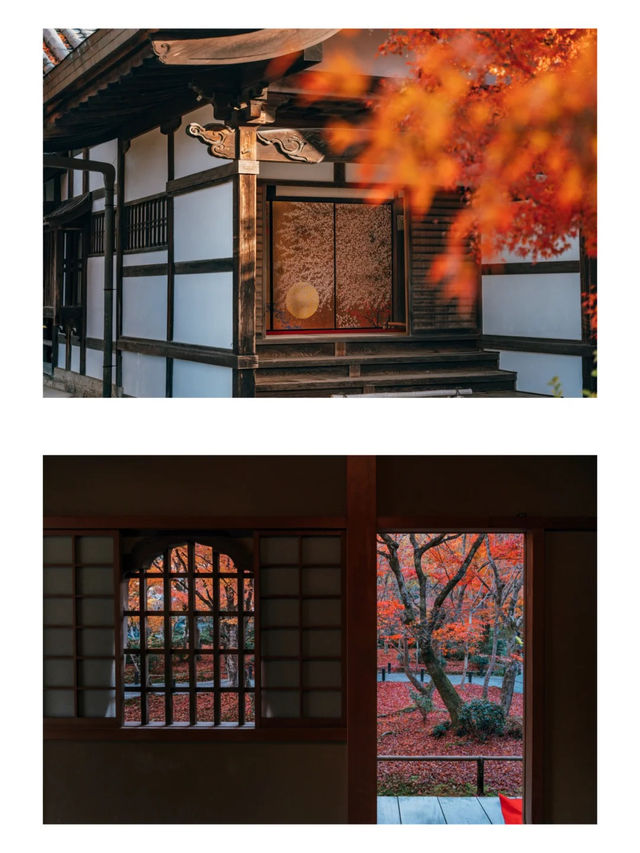 景點推薦：圓光寺——京都紅葉的隱藏秘境
