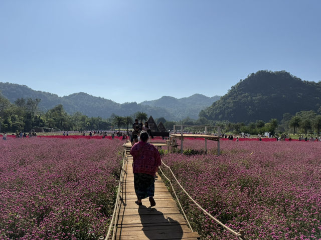 Hokkaido Flower Park 💐