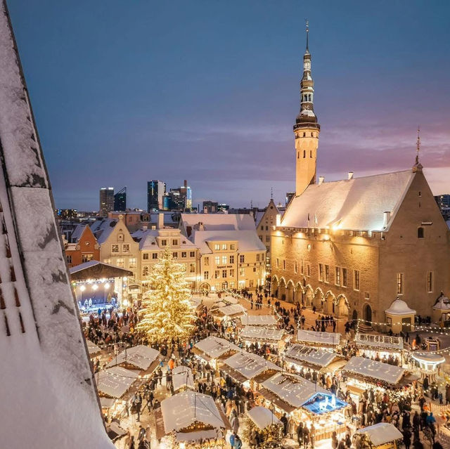 Tallinn is getting ready for Christmas! 🌲