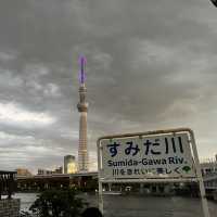 FOMO me booked a trip to JAPAN to see the Gundam 