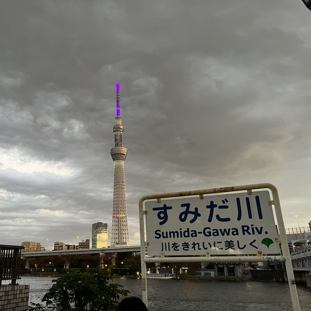 FOMO me booked a trip to JAPAN to see the Gundam 