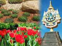 สัมผัสความงาม@อุทยานหลวงราชพฤกษ์
