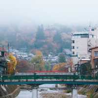 Miyagawa Morning Market