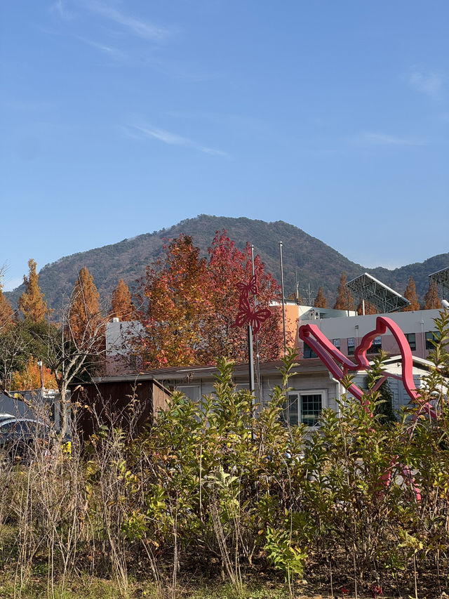 정말 좋았던 창원여행!🍁🍂 