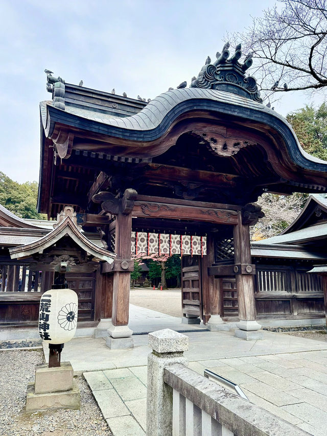 【栃木　宇都宮二荒山神社】