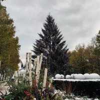 Christmas at Millennium Park, Chicago
