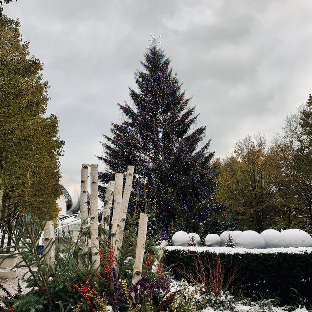 Christmas at Millennium Park, Chicago
