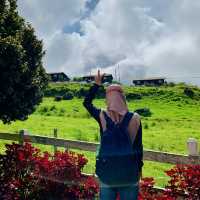 Solo Adventures in The Heart of Kundasang's Dairy Heaven
