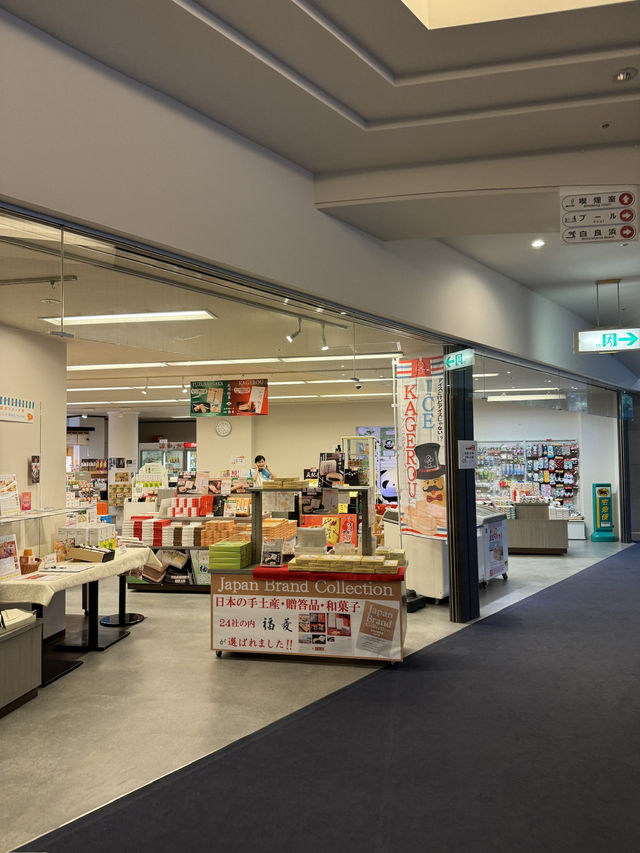 【和歌山旅行】白良浜／ビーチを一望✨️海を見ながら入る露天風呂