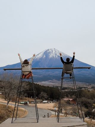 富士山超有名打卡點去一個地方就能拍到 - 馬飼野牧場 🐮