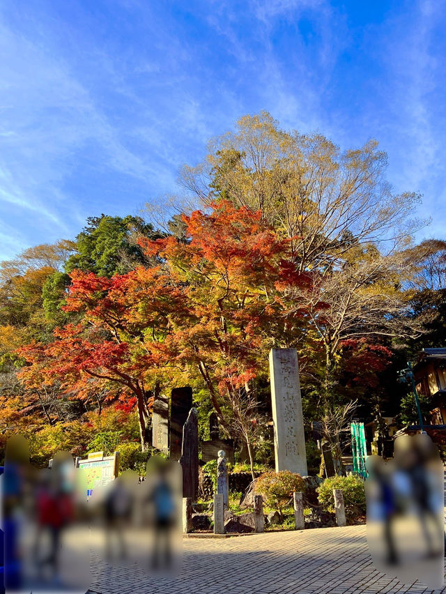 【東京】新宿から1時間の絶景