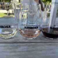Wine Valley Tour and Excellent E-bikes! 
