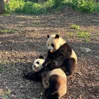 台北市立動物園：動物王國之旅 🦁🌿