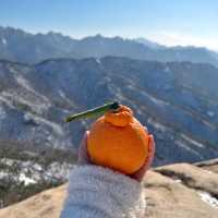 겨울에만 볼수있는 풍경! 녹기전에 가보세요 사패산 원각폭포❄️