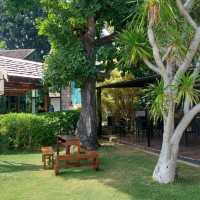 🏰 Within Khaoyai✨️🍰 คาเฟ่สวนหิน