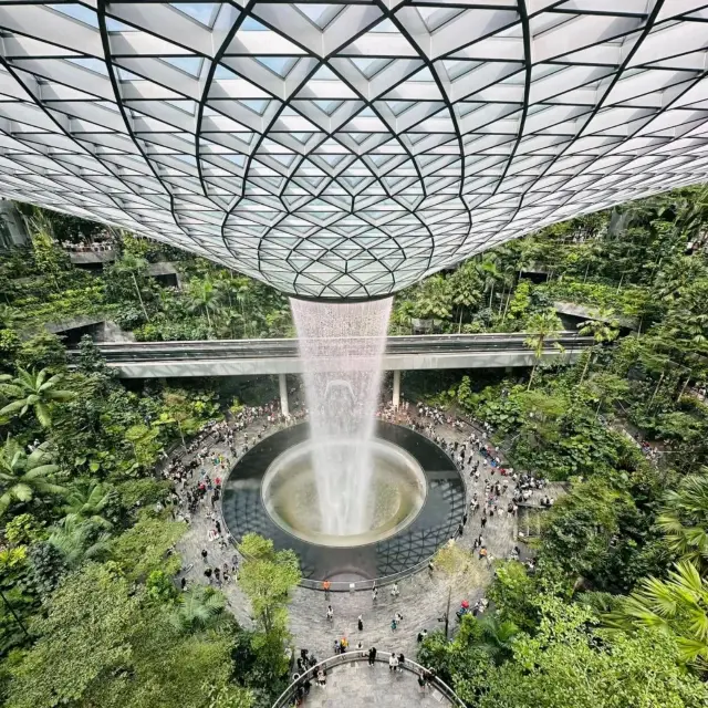 "Petal Paradise" – Wander through blooming beauty at the Petal Garden.