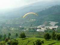 Fly High: My Epic Paragliding Adventure at Paralayang Puncak