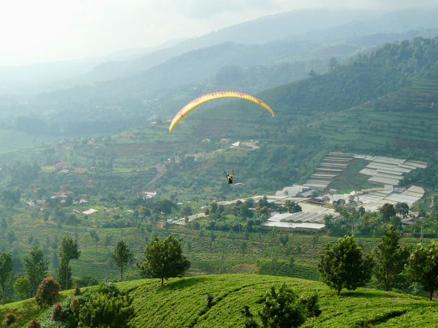 Fly High: My Epic Paragliding Adventure at Paralayang Puncak