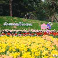 เชียงรายดอกไม้งาม 