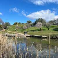 Richmond Bridge tasmania
