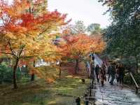 Kodaiji Temple 