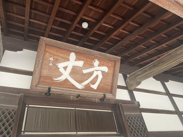 天龍寺｜進門可見👀趣味達摩畫像的禪寺