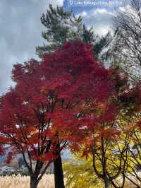 Mount Fuji in November 2024