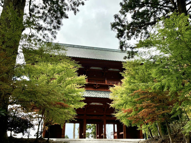 🇯🇵【和歌山】高野山！スタートは迫力満点の大門から^ ^！