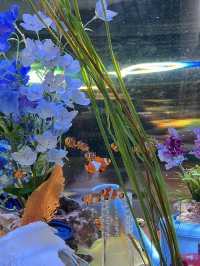 🇰🇷 Coex Aquarium, Seoul 🪼🐠🫧