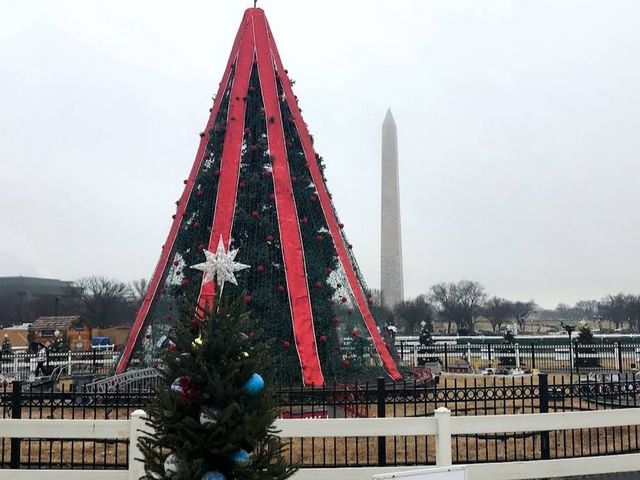 미국 국립 크리스마스 트리 National Christmas Tree