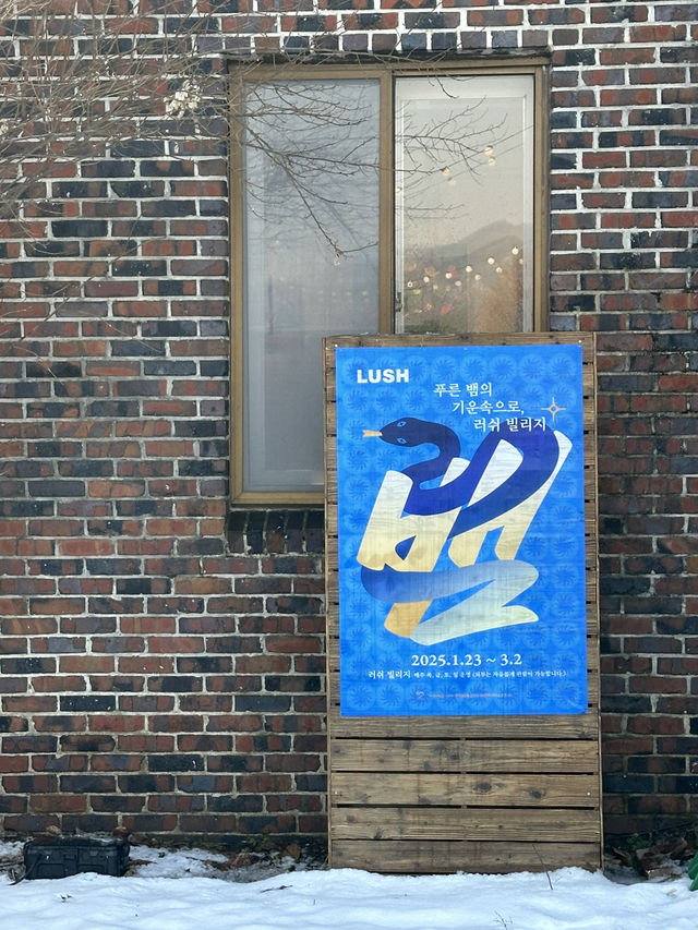 💙푸른 뱀에 해를 맞아 🦄야외 나들이 할 수 있는 야외데이트 추천