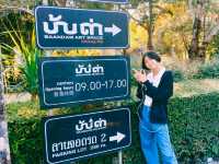 เชียงรายเที่ยงง่าย 