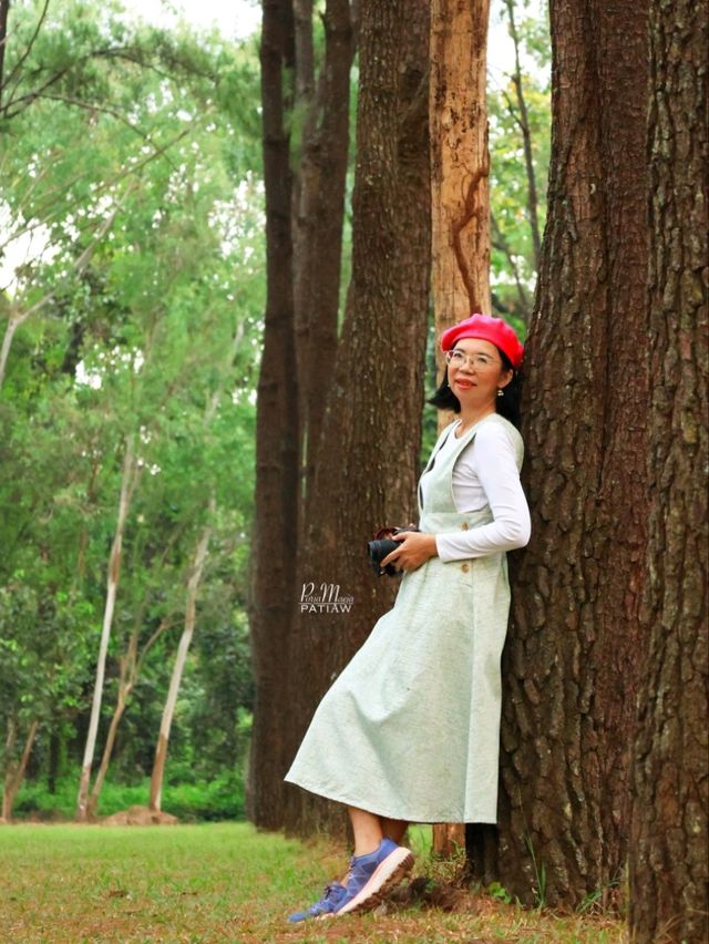 สวนสนแม่แตง ที่เที่ยวเชียงใหม่ จุดถ่ายรูปสุดฮิป