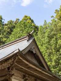 【徳島県/勝浦町】お遍路のお寺で出会った特別な体験