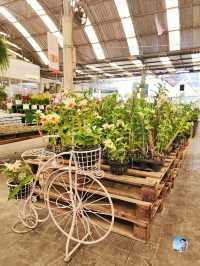 AIRORCHIDS SUPERMARKET