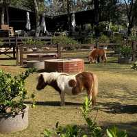 Rancho Charnvee Resort Khaoyai & CountryClub