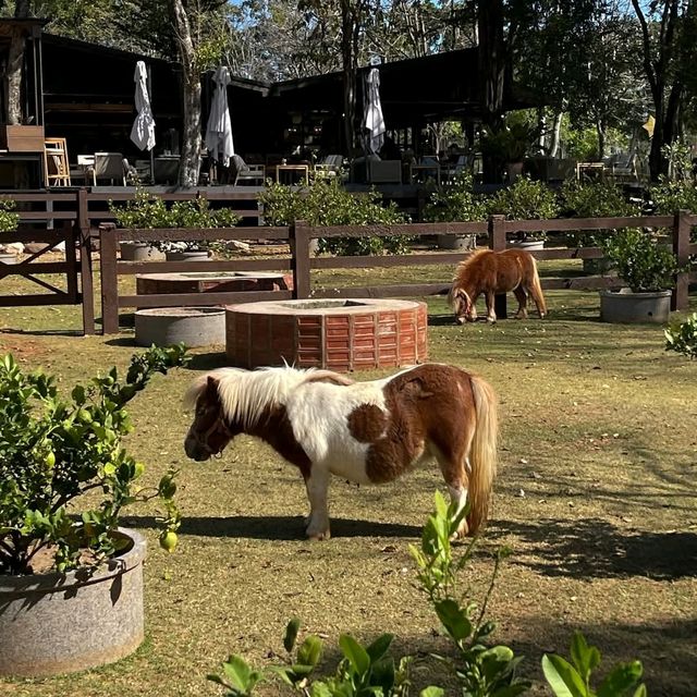 Rancho Charnvee Resort Khaoyai & CountryClub